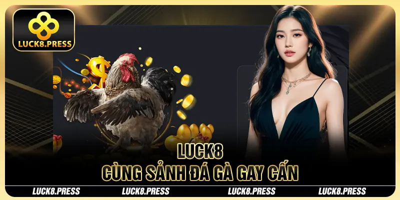 Luck8 29 Luck8 cùng sảnh đá gà gay cán